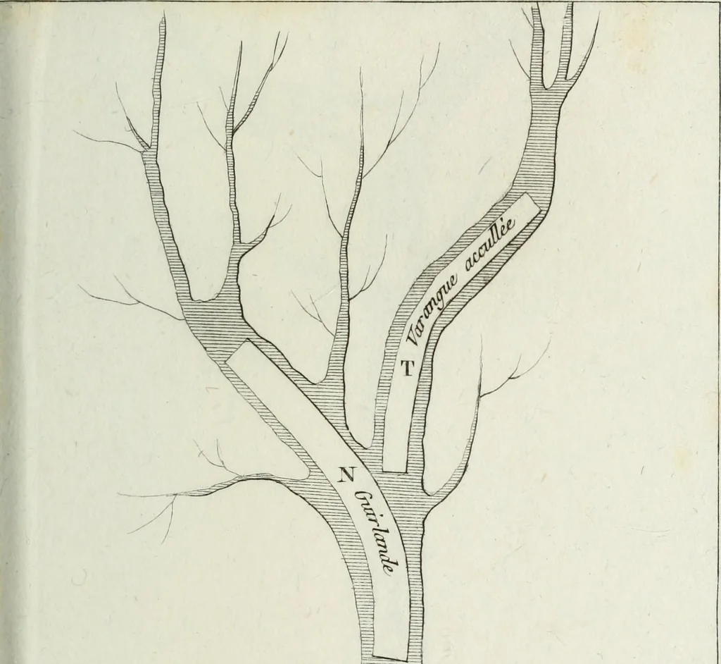 An illustration from Manuale ad uso degli agenti dei boschi e della marina ..., 1807, leaf 308