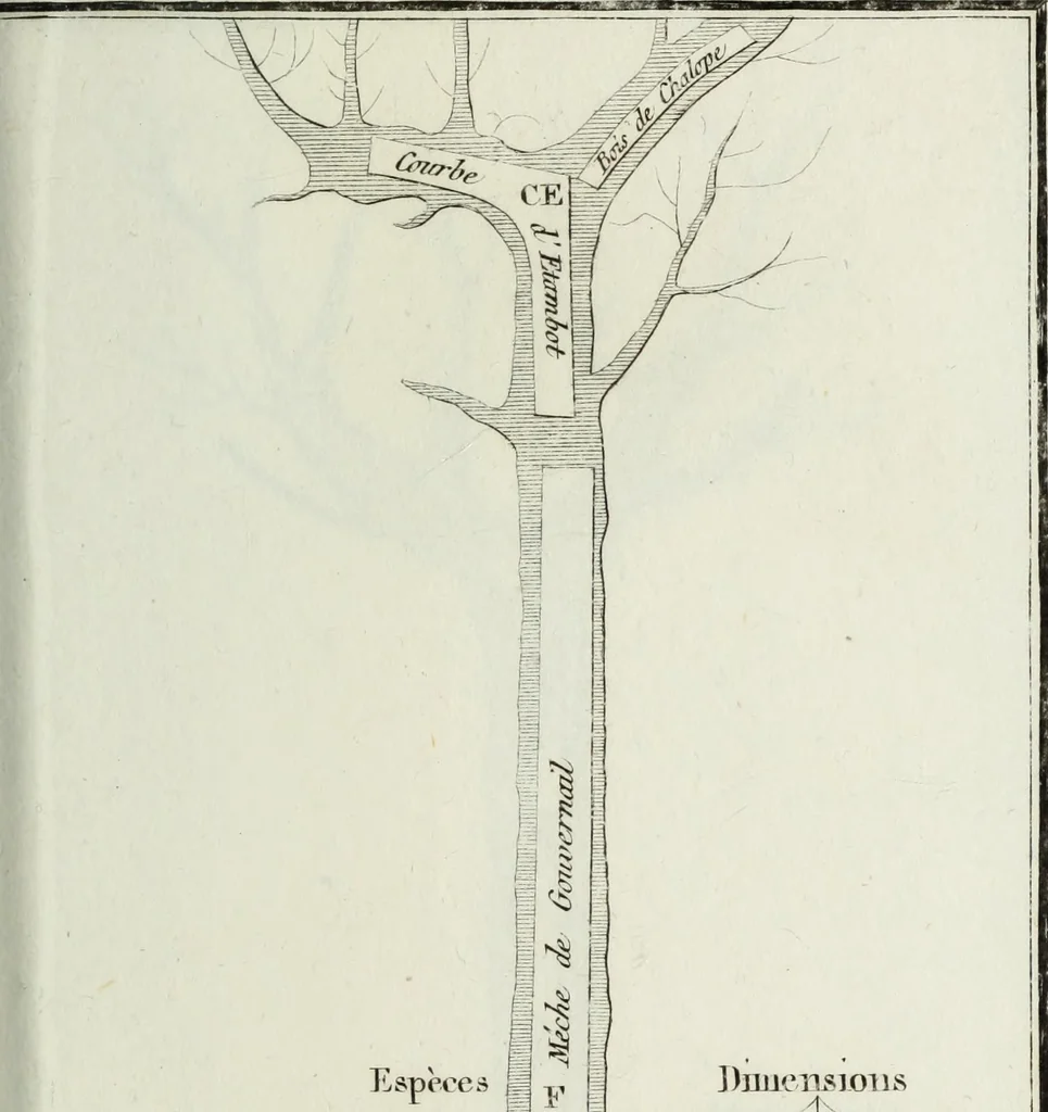 An illustration from Manuale ad uso degli agenti dei boschi e della marina ..., 1807, leaf 310