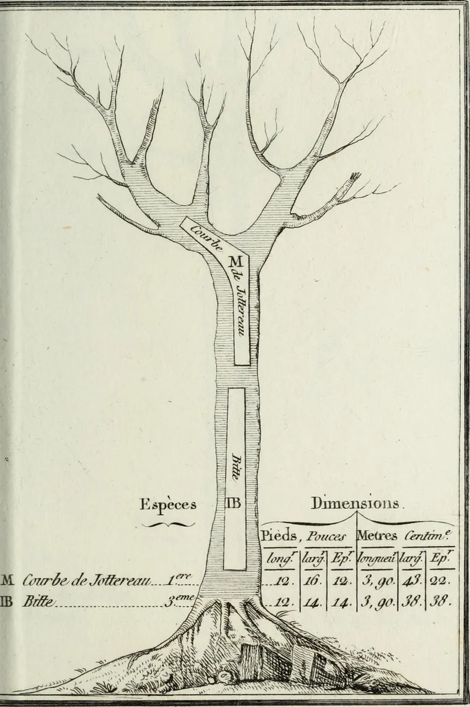 An illustration from Manuale ad uso degli agenti dei boschi e della marina ..., 1807, leaf 312