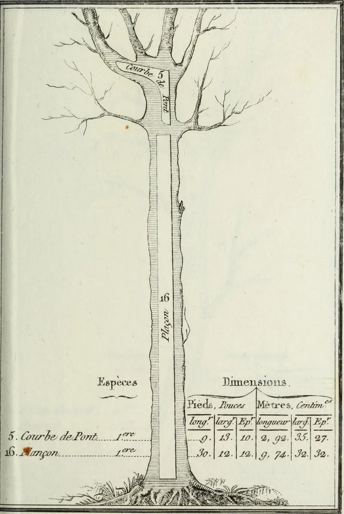 An illustration from Manuale ad uso degli agenti dei boschi e della marina ..., 1807, leaf 314