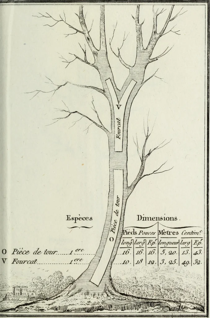 An illustration from Manuale ad uso degli agenti dei boschi e della marina ..., 1807, leaf 316