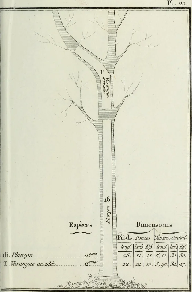 An illustration from Manuale ad uso degli agenti dei boschi e della marina ..., 1807, leaf 320
