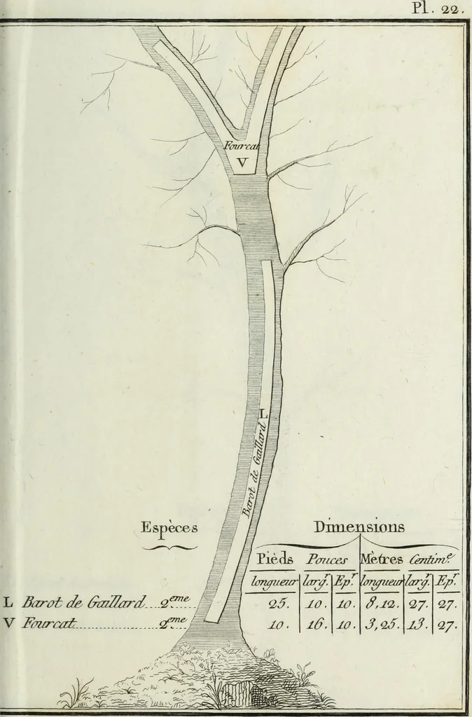 An illustration from Manuale ad uso degli agenti dei boschi e della marina ..., 1807, leaf 322