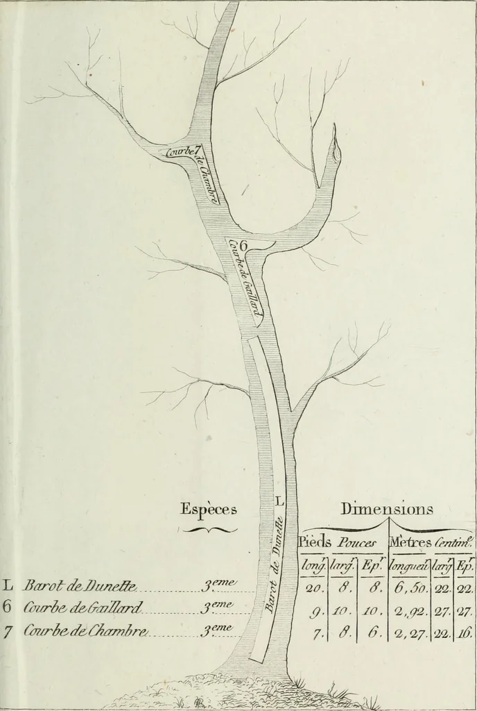 An illustration from Manuale ad uso degli agenti dei boschi e della marina ..., 1807, leaf 324