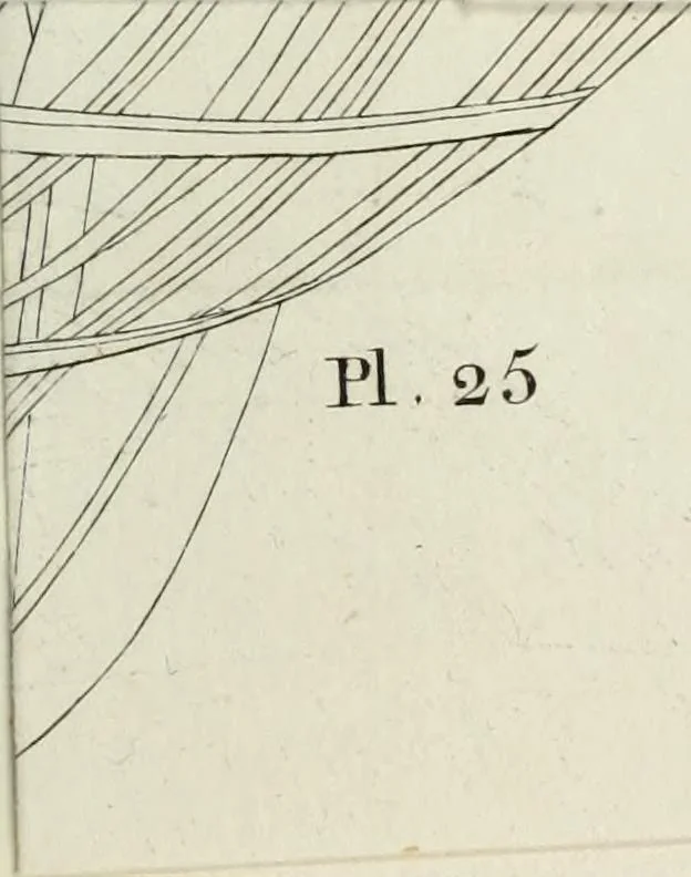An illustration from Manuale ad uso degli agenti dei boschi e della marina ..., 1807, leaf 326