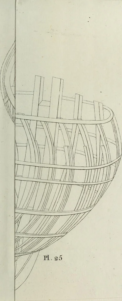 An illustration from Manuale ad uso degli agenti dei boschi e della marina ..., 1807, leaf 328
