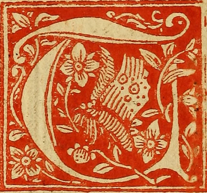 An illustration from Manuale ad vsu[m] sagien[sem], 1515, leaf 125