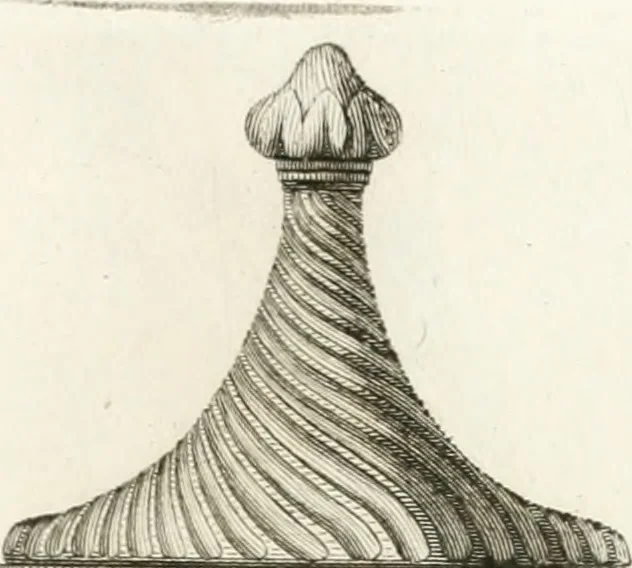 An illustration from Manuale di varj ornamenti componenti la serie de' vasj antichi : si' di marmo che di bronzo esistenti in Roma e fuori, 1821, leaf 38
