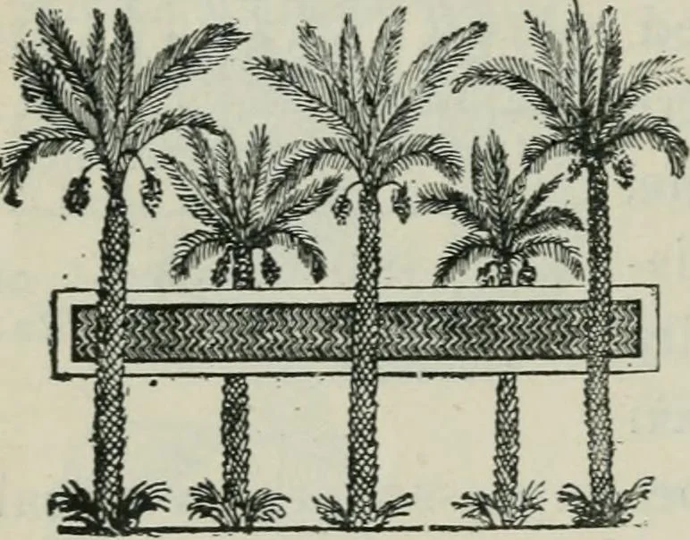 An illustration from Manual of Egyptian archæology and guide to the study of antiquities in Egypt. For the use of students and travellers, 1914, leaf 239