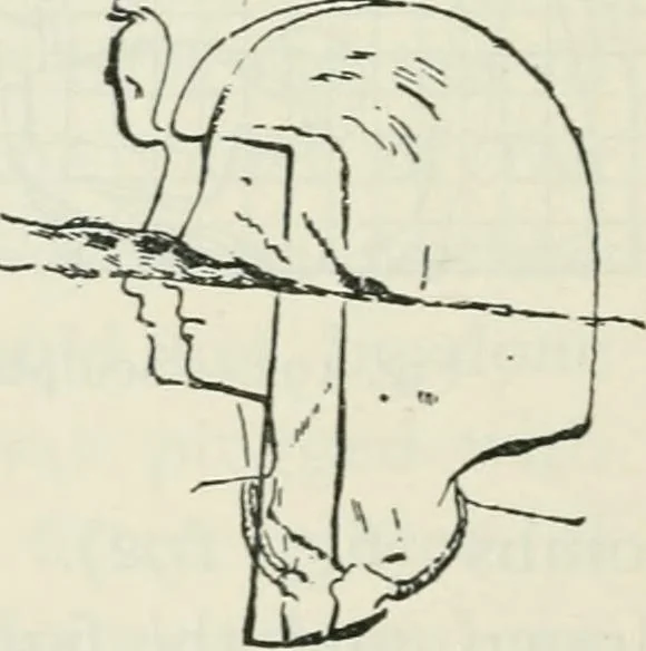 An illustration from Manual of Egyptian archæology and guide to the study of antiquities in Egypt. For the use of students and travellers, 1914, leaf 247