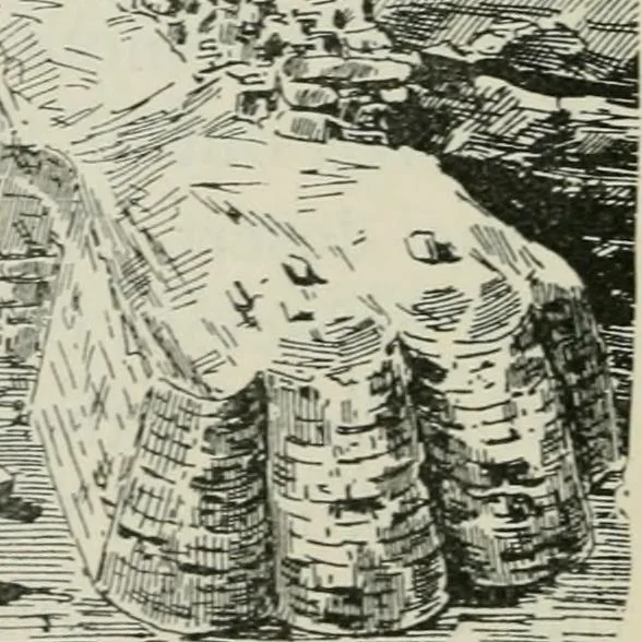An illustration from Manual of Egyptian archæology and guide to the study of antiquities in Egypt. For the use of students and travellers, 1914, leaf 265