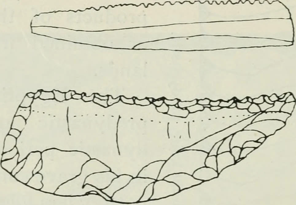 An illustration from Manual of Egyptian archæology and guide to the study of antiquities in Egypt. For the use of students and travellers, 1914, leaf 303