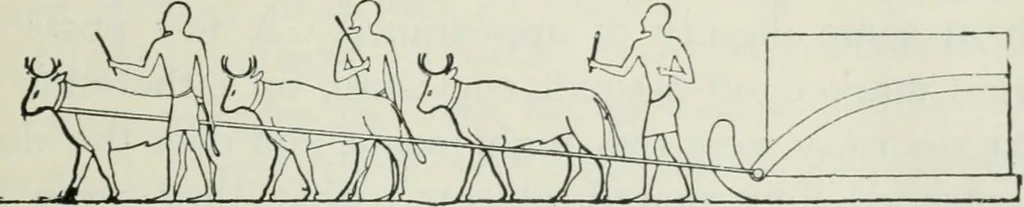 An illustration from Manual of Egyptian archæology and guide to the study of antiquities in Egypt. For the use of students and travellers, 1914, leaf 78