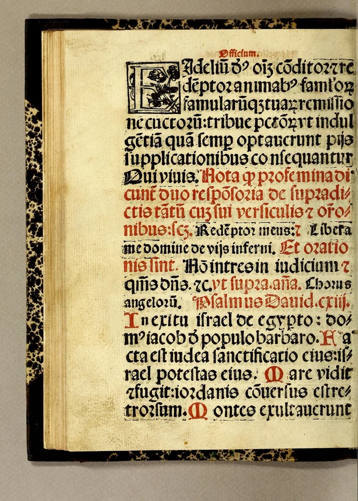 An illustration from Manuale sacramentoru[m]. : Nouiter emendatuz cuz quibusdaz congrue in eo additis secu[n]dum consuetudine[m] alme ecclesie Hispalensis, 1547, leaf 148