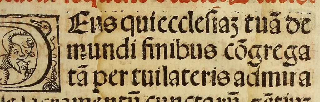 An illustration from Manuale sacramentoru[m]. : Nouiter emendatuz cuz quibusdaz congrue in eo additis secu[n]dum consuetudine[m] alme ecclesie Hispalensis, 1547, leaf 171