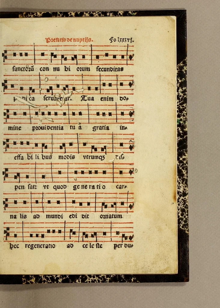 An illustration from Manuale sacramentoru[m]. : Nouiter emendatuz cuz quibusdaz congrue in eo additis secu[n]dum consuetudine[m] alme ecclesie Hispalensis, 1547, leaf 193