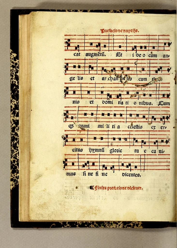 An illustration from Manuale sacramentoru[m]. : Nouiter emendatuz cuz quibusdaz congrue in eo additis secu[n]dum consuetudine[m] alme ecclesie Hispalensis, 1547, leaf 194