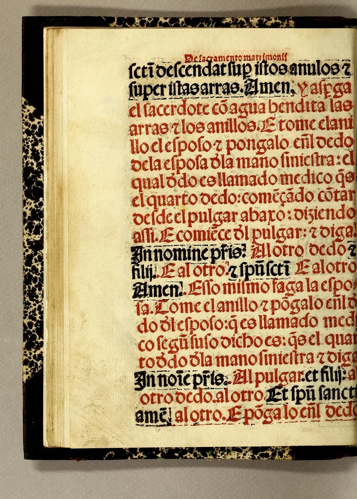 An illustration from Manuale sacramentoru[m]. : Nouiter emendatuz cuz quibusdaz congrue in eo additis secu[n]dum consuetudine[m] alme ecclesie Hispalensis, 1547, leaf 58