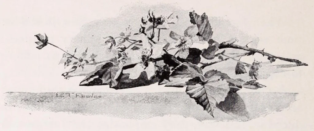 An illustration from A manual for China painters. being a practical and comprehensive treatise on the art of painting China and glass with mineral colors, 1897, leaf 132