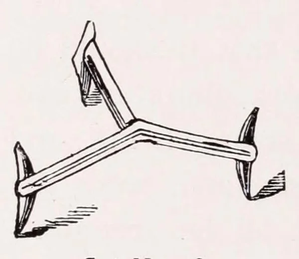 An illustration from A manual for China painters. being a practical and comprehensive treatise on the art of painting China and glass with mineral colors, 1897, leaf 268