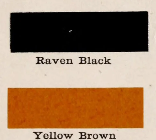 An illustration from A manual for China painters. being a practical and comprehensive treatise on the art of painting China and glass with mineral colors, 1897, leaf 305