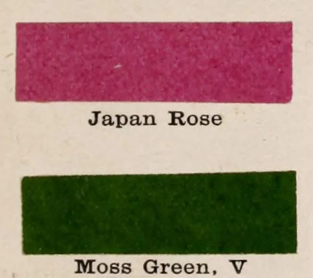 An illustration from A manual for China painters. being a practical and comprehensive treatise on the art of painting China and glass with mineral colors, 1897, leaf 309