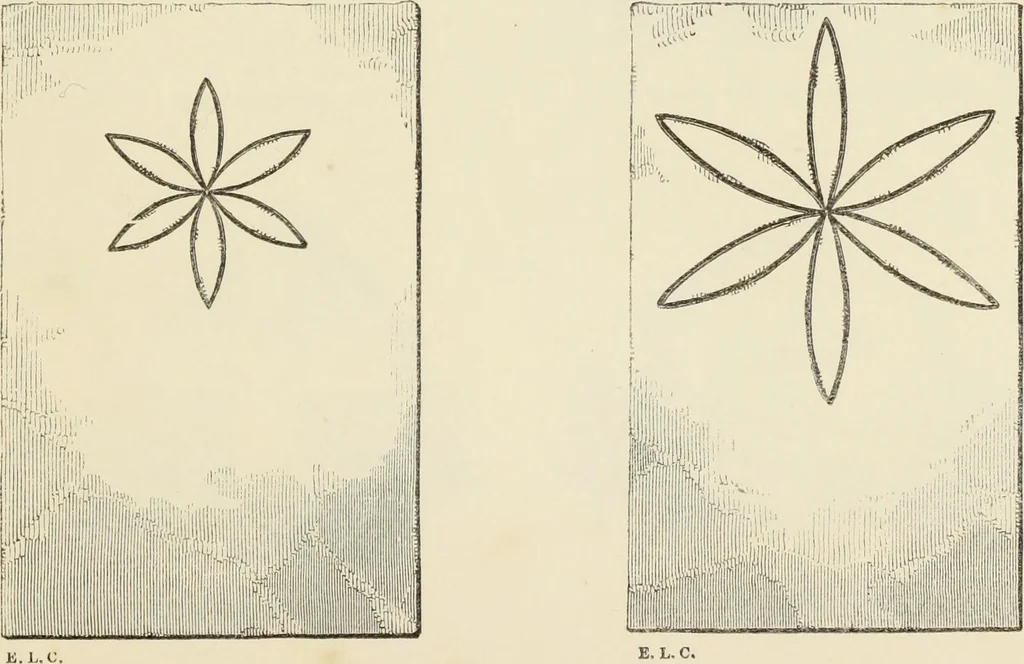 An illustration from A manual for the study of the sepulchral slabs and crosses of the middle ages, 1849, leaf 272