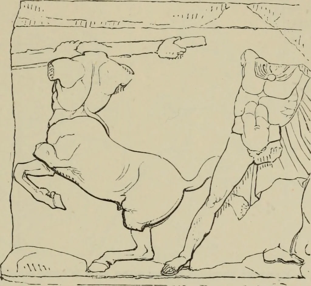 An illustration from A manual of ancient sculpture, Egyptian - Assyrian - Greek - Roman, 1886, leaf 161