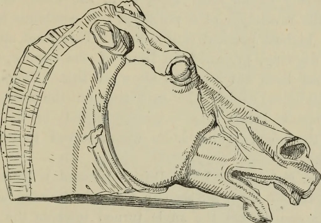 An illustration from A manual of ancient sculpture, Egyptian - Assyrian - Greek - Roman, 1886, leaf 185