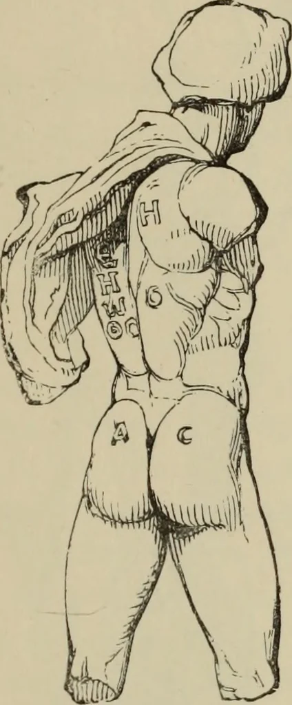 An illustration from A manual of ancient sculpture, Egyptian - Assyrian - Greek - Roman, 1886, leaf 40
