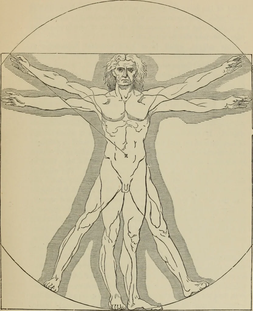 An illustration from A manual of ancient sculpture, Egyptian - Assyrian - Greek - Roman, 1886, leaf 56