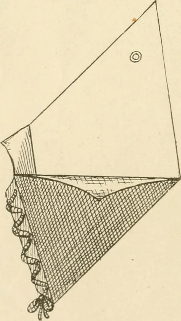 An illustration from Manual of cardboard construction for third, fourth, and fifth grades, 1902, leaf 43