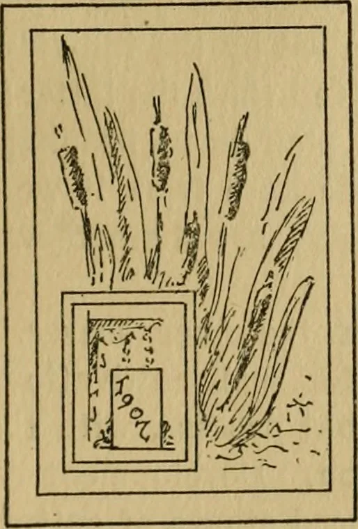 An illustration from Manual of cardboard construction, 1908, leaf 14