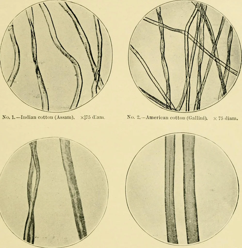 An illustration from A manual of dyeing: for the use of practical dyers, manufacturers, students, and all interested in the art of dyeing, 1919, leaf 38