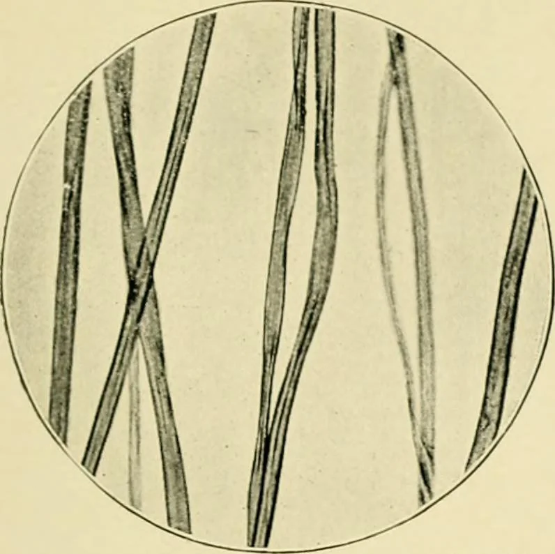 An illustration from A manual of dyeing: for the use of practical dyers, manufacturers, students, and all interested in the art of dyeing, 1919, leaf 58