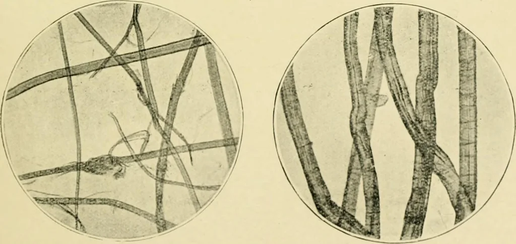 An illustration from A manual of dyeing: for the use of practical dyers, manufacturers, students, and all interested in the art of dyeing, 1919, leaf 58