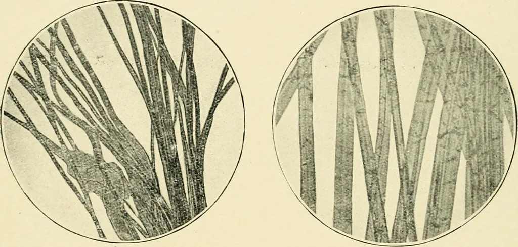 An illustration from A manual of dyeing: for the use of practical dyers, manufacturers, students, and all interested in the art of dyeing, 1919, leaf 59