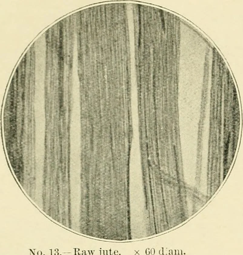 An illustration from A manual of dyeing: for the use of practical dyers, manufacturers, students, and all interested in the art of dyeing, 1919, leaf 59