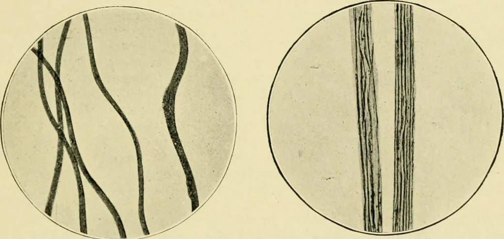 An illustration from A manual of dyeing: for the use of practical dyers, manufacturers, students, and all interested in the art of dyeing, 1919, leaf 82