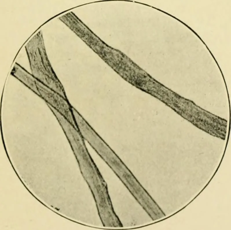 An illustration from A manual of dyeing: for the use of practical dyers, manufacturers, students, and all interested in the art of dyeing, 1919, leaf 82