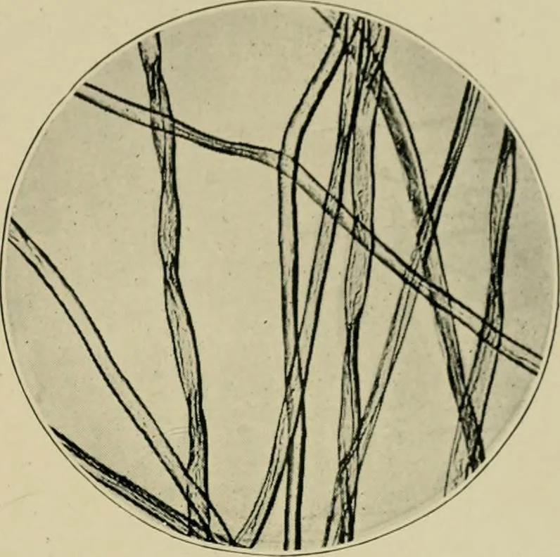 An illustration from A manual of dyeing: for the use of practical dyers, manufacturers, students, and all interested in the art of dyeing, 1910, leaf 40
