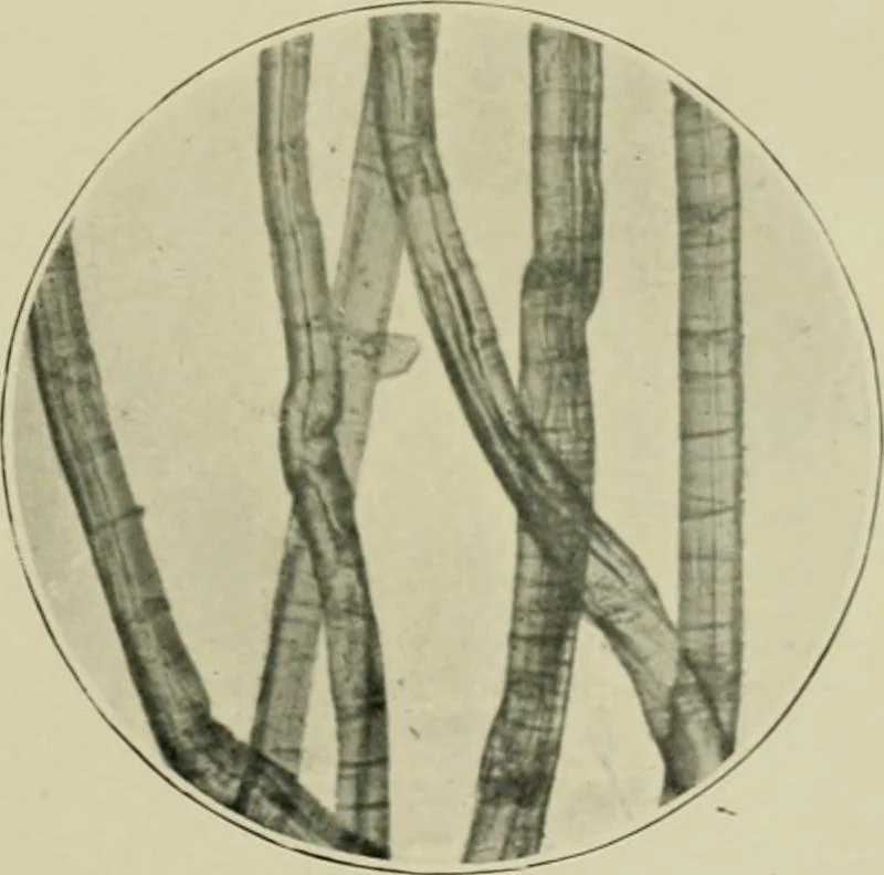 An illustration from A manual of dyeing: for the use of practical dyers, manufacturers, students, and all interested in the art of dyeing, 1910, leaf 60