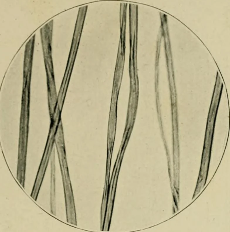 An illustration from A manual of dyeing: for the use of practical dyers, manufacturers, students, and all interested in the art of dyeing, 1910, leaf 60