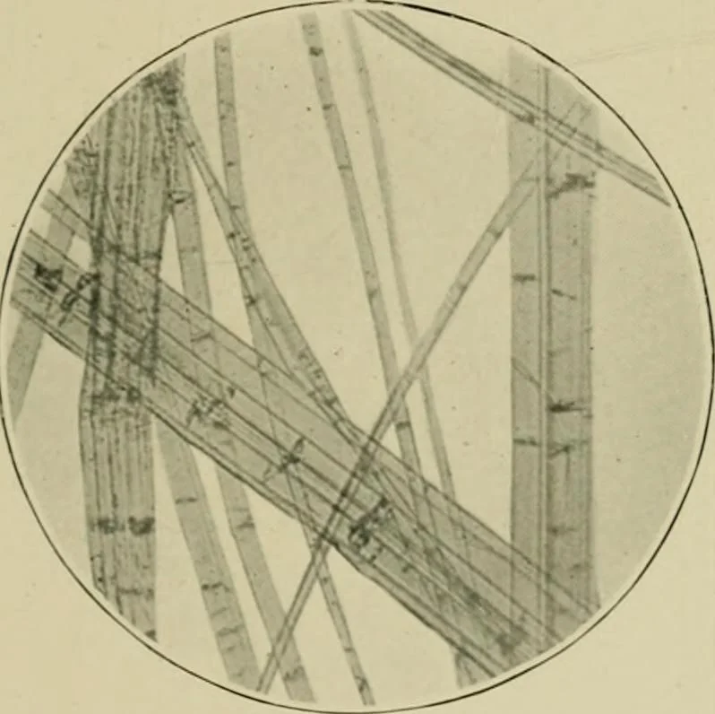 An illustration from A manual of dyeing: for the use of practical dyers, manufacturers, students, and all interested in the art of dyeing, 1910, leaf 60