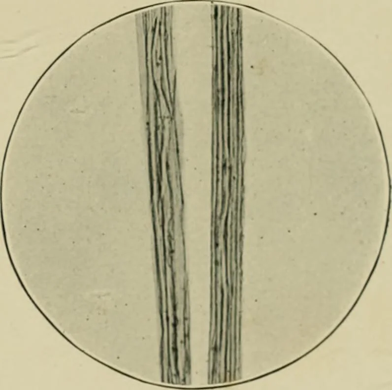 An illustration from A manual of dyeing: for the use of practical dyers, manufacturers, students, and all interested in the art of dyeing, 1910, leaf 86