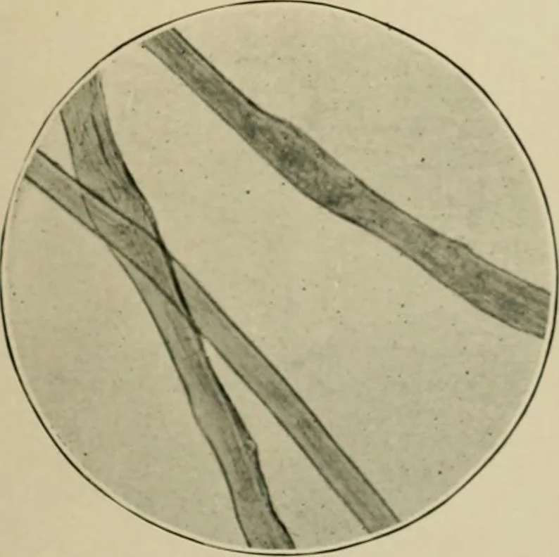 An illustration from A manual of dyeing: for the use of practical dyers, manufacturers, students, and all interested in the art of dyeing, 1910, leaf 86