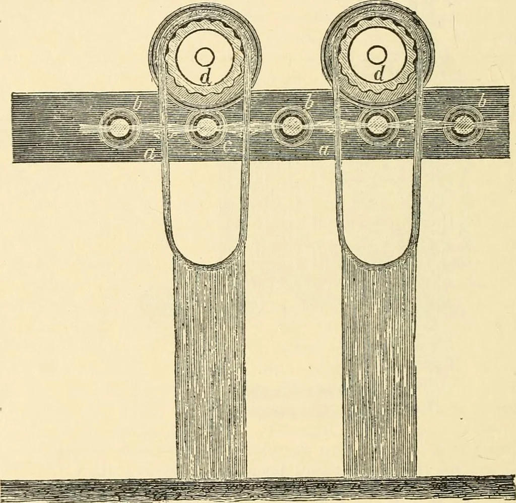 An illustration from A manual of dyeing: for the use of practical dyers, manufacturers, students, and all interested in the art of dyeing, 1919, leaf 361