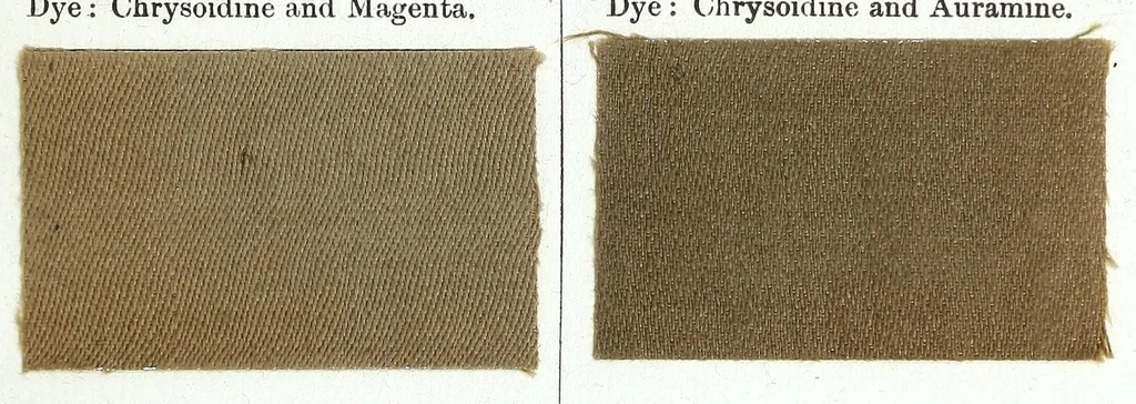 An illustration from A manual of dyeing : for the use of practical dyers, manufacturers, students, and all interested in the art of dyeing, 1893, leaf 27
