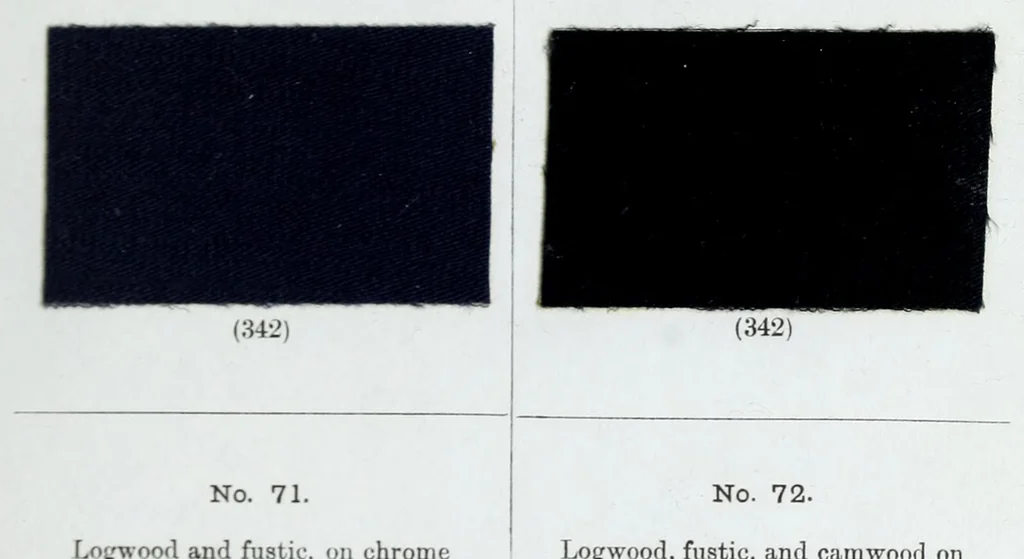 An illustration from A manual of dyeing : for the use of practical dyers, manufacturers, students, and all interested in the art of dyeing, 1893, leaf 31