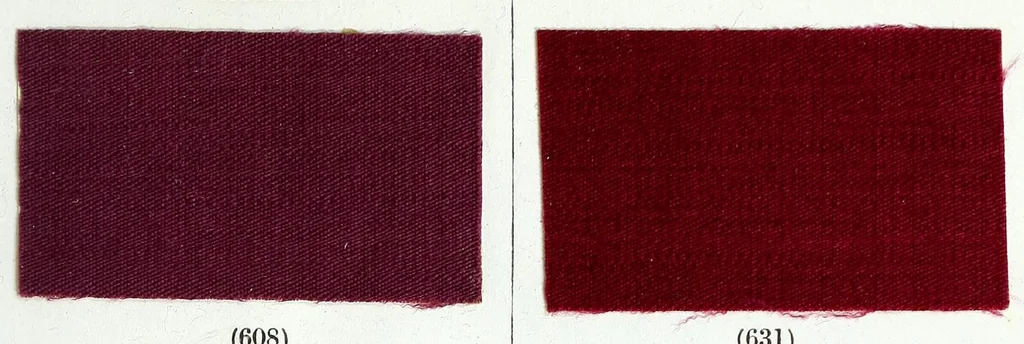 An illustration from A manual of dyeing : for the use of practical dyers, manufacturers, students, and all interested in the art of dyeing, 1893, leaf 45